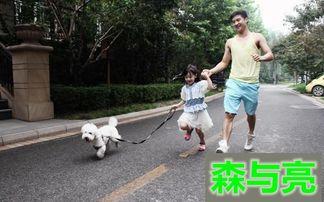 遛狗吃瓜现场视频大全集,趣味瞬间大盘点