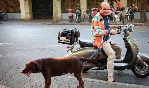 遛狗吃瓜现场视频大全集,趣味瞬间大盘点