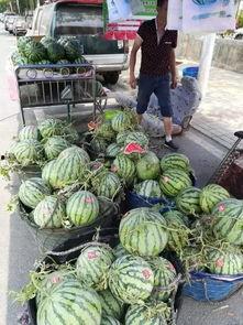 微山县吃瓜事件视频最新