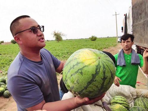 2022吃瓜汇总视频