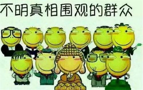 每日吃瓜事实说话视频下载