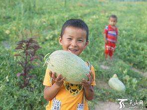 宝宝吃瓜群众视频,萌娃趣味吃瓜瞬间大盘点