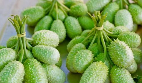 最受欢迎的吃瓜视频在线观看