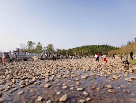 长安公园吃瓜事件视频完整版,一场引发热议的街头冲突全纪录
