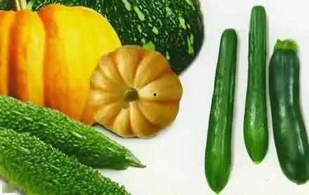 坎瓜老了怎么吃最好吃视频,解锁美味新境界