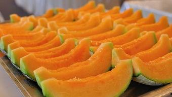 马宝儿吃哈密瓜视频