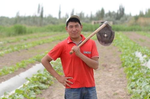 塘头路吃瓜群众事件视频,街头冲突瞬间引发全民热议