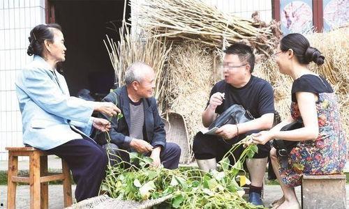 七十年代下乡吃瓜视频,那段难忘的吃瓜岁月