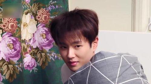 白鹿和范丞丞吃瓜视频,揭秘娱乐圈幕后真相