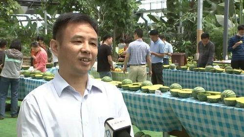吃瓜群众刘志奇视频,揭秘娱乐圈幕后故事
