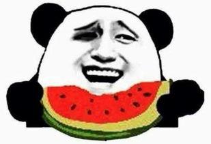 我是吃瓜群众完整视频,一场网络现象的深度剖析