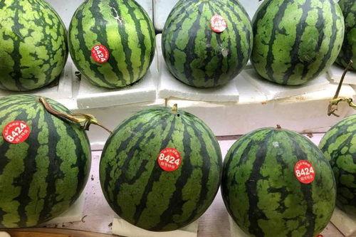 日本吃翔吃瓜,吃翔吃瓜,揭秘独特饮食文化