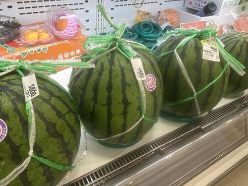 日本吃翔吃瓜,吃翔吃瓜，揭秘独特饮食文化