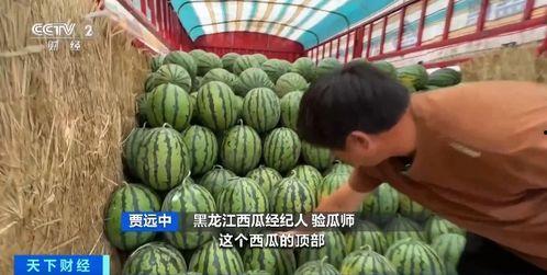 莱州沙河幼师喷水吃瓜,一场校园清凉趣事的背后