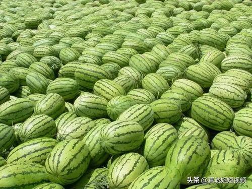 吃瓜吃到自己的大瓜,竟吃到自己人生大瓜