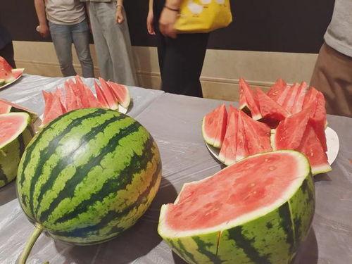 吃瓜评审团,揭秘娱乐圈幕后真相，带你领略明星们的真实生活