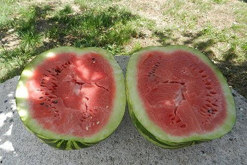 梦见吃俩吃瓜,揭秘“吃俩吃瓜”的神秘寓意