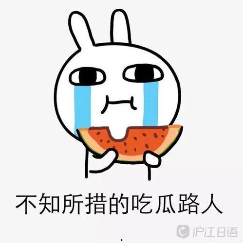 贪心吃瓜,揭秘瓜农的智慧与市场策略