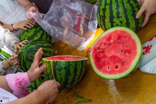 贵阳师范吃瓜视频,校园生活新视角