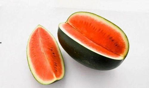 运动前吃乳瓜吗,营养专家的建议