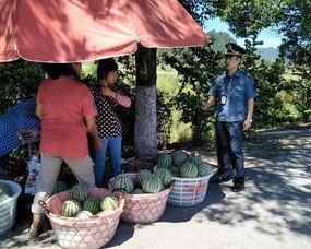 普洱吃瓜群众视频,揭秘视频背后的热点事件