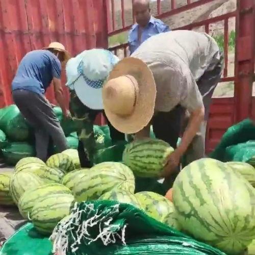 普洱吃瓜群众视频,揭秘视频背后的热点事件