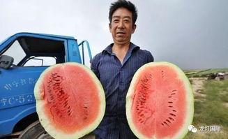 什么算吃瓜,揭秘“吃瓜”背后的网络文化现象