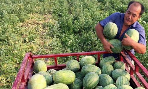 什么算吃瓜,揭秘“吃瓜”背后的网络文化现象