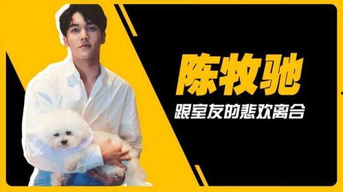 律师吃瓜陈牧驰,揭秘律师界的“吃瓜”达人