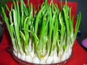 产妇可以吃白瓜吗,白瓜——产妇的滋补佳品