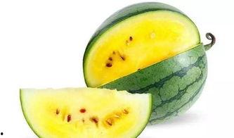 吃瓜好与坏,揭秘吃瓜好与坏的真相