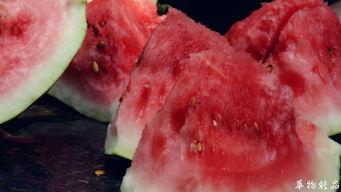 峡谷吃瓜侠,揭秘电竞圈幕后风云