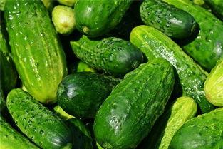 千梦吃瓜,揭秘娱乐圈幕后故事