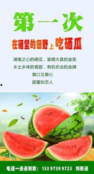 吃瓜网上的广告,广告背后的热门话题与潮流风向