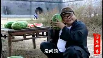 红河吃瓜事件视频,一场引发热议的网络狂欢