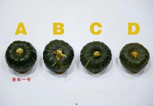 爱尚吃瓜,揭秘娱乐圈那些不为人知的幕后故事