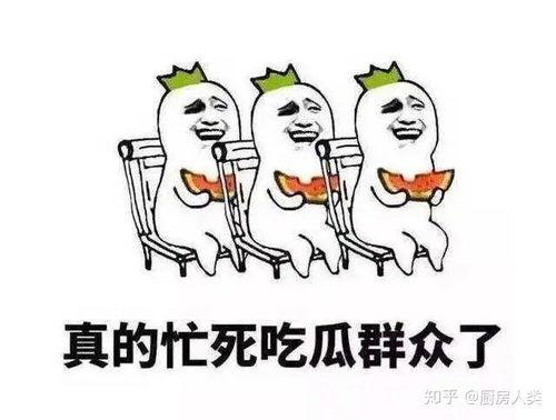 天天吃瓜今日吃瓜,今日瓜果盛宴