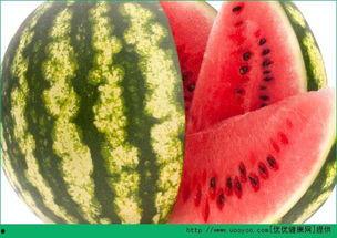 天天吃瓜今日吃瓜,今日瓜果盛宴