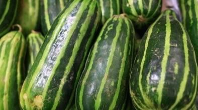 怀化梢瓜怎么吃,解锁家常美味新境界