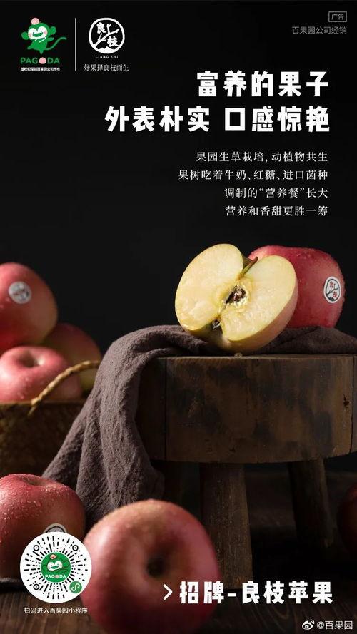 吃瓜没吃明白的文案,揭秘那些让人一头雾水的幕后真相