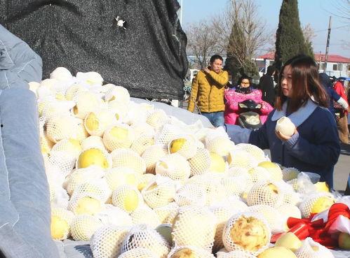 莱州高阳吃瓜,探寻瓜乡风情，品味夏日清凉