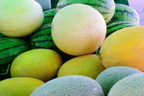 自驾瓜州吃瓜具体位置,探寻丝绸之路上的甜蜜秘境