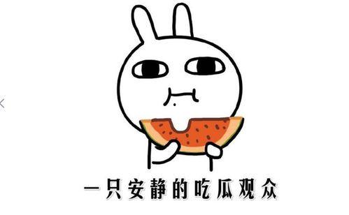 抖音里的瓜都在哪里吃的,揭秘“瓜都在哪里吃”的神秘之地