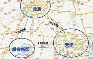 河北安新吃瓜,瓜果飘香，品味乡村田园生活