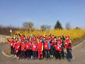 邹平吃瓜爆料,揭秘背后真相与网络舆论风暴