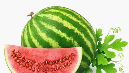 吃瓜开头,吃瓜群众视角下的娱乐圈风云录