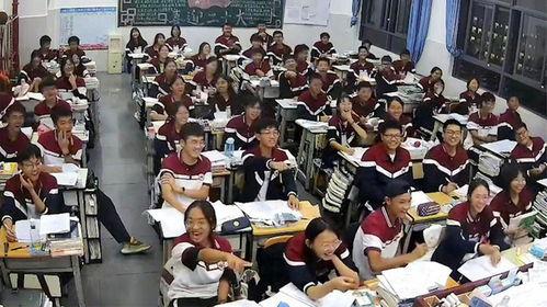 博兴吃瓜打架视频,一场网络热议的街头冲突