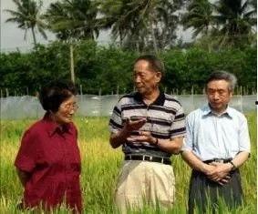 吃瓜前辈,那些年我们一起追的瓜