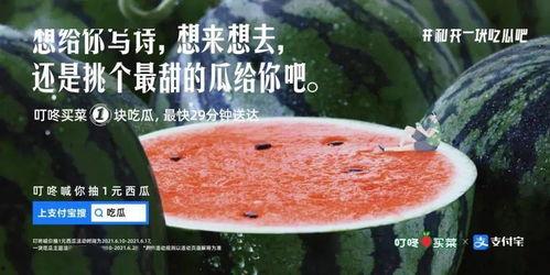 自由吃瓜文案怎么写,揭秘网络热点的背后故事