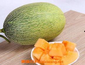 大象吃蜜瓜,探索大象吃蜜瓜的奇妙瞬间